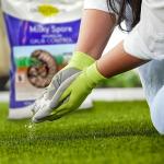 St. Gabriel Organics Milky Spore Beetle Grub Killer