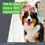 Frontline Plus Flea and Tick Treatment for Large Dogs