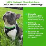 FurLife Waterproof Flea and Tick Collar for Dogs