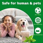 Peppermint Oil Pest Repellent Pouches - 10 Pack