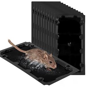 10 Pack Mouse Traps with Peanut Pheromones