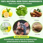 BOZFLY Peppermint Oil Rodent Repellent - 32 Pack