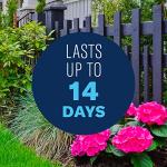 BioAdvanced 3-in-1 Plant Bug Spray 32 oz