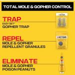 Victor M6006 Outdoor Mole & Gopher Poison Peanuts
