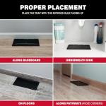 Catchmaster 12PK Indoor Pest Control Glue Traps Mouse/Rat