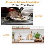 Peppermint Oil Mouse and Rodent Repellent Balls