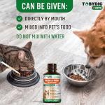 Natural Flea and Tick Prevention for Pets