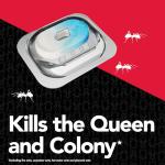 Raid Max Ant Bait - Kills Ants Indoors & Outdoors