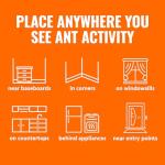 Terro T300-3SR Ant Killer Liquid Baits 3 Pack