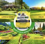 Nature's MACE Mole & Vole Granules - 160 Fl Oz