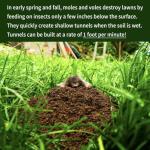 Nature's MACE Mole & Vole Granules - 160 Fl Oz