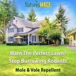 Nature's MACE Mole & Vole Granules - 160 Fl Oz