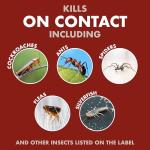 Spectracide Bug Stop Spray for Ants, Roaches, Spiders