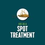 Natural Insect Spray for Home and Yard