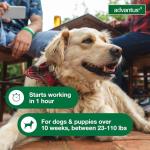 Advantus Fast Acting Flea Chews for Dogs