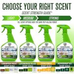 Green Guard Pest Control Spray - Safe Indoor/Outdoor Insect Killer