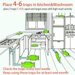 Child and Pet Safe Cockroach Traps (10 Pack)