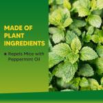 Peppermint Rodent Repellent - 3-Month Protection