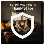 Advecta Plus Flea Treatment for Large Cats