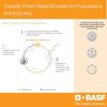 BASF Alpine WSG Insecticide for Home and Garden