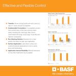 BASF Alpine WSG Insecticide for Home and Garden