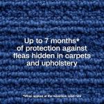 ADAMS Plus Flea & Tick Carpet Spray 16oz