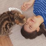 ADAMS Plus Flea & Tick Carpet Spray 16oz