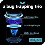 Indoor Fly Trap with Fan & UV Light