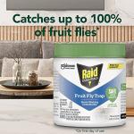 Raid Fruit Fly Trap, Safe for Kids and Pets