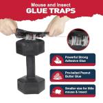 12 Pack Indoor Glue Mouse Traps for Safe Use