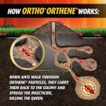 Ortho Fire Ant Killer - Kills Queens Fast