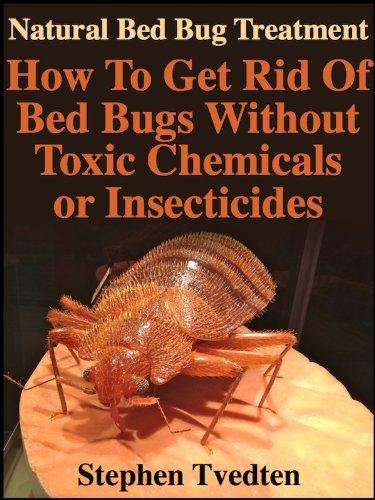 Natural Bed Bug Treatment Without Toxic Chemicals