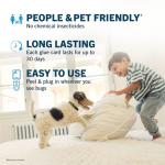 Safer Home SH506 Glue Card Refill Pack, 6 Count