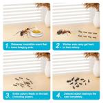 32 Pack Ant Killer Gel Bait for Home Use