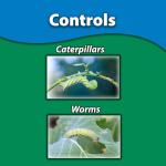 Monterey BT Concentrate for Worm and Caterpillar Control