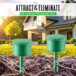 Qualirey 2 Pack Reusable Ant Bait Stations