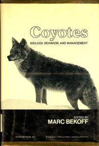 Coyotes: Understanding Their Behavior and Control