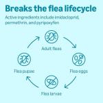 Amazon Basics Flea, Tick & Mosquito Treatment for X-Large Dogs