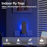 Indoor 3-in-1 Plug-in Fruit Fly Trap