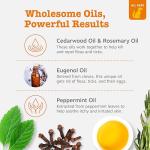 Zesty Paws Flea & Tick Spray for Dogs