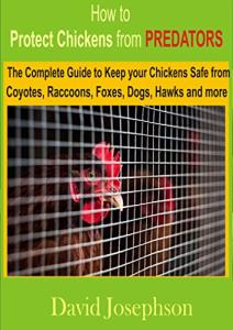 Protect Your Chickens from Predators: Complete Guide