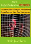 Protect Your Chickens from Predators: Complete Guide