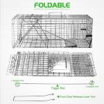 Humane Live Animal Trap for Raccoons and Cats