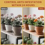 Sumkat Ant Bait Gel - Indoor & Outdoor Use