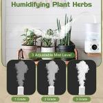 Smart Reptile Fogger with Adjustable Humidity Control