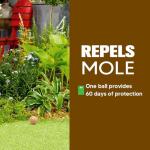 Mole, Gopher, Vole & Groundhog Repellent 8P
