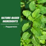 Mice Repellent Pouches with Peppermint Scent - 8 Pack