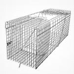 Humane Live Animal Trap for Raccoons and Cats