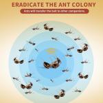 Sumkat Ant Bait Gel - Indoor & Outdoor Use