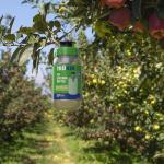 Outdoor Reusable Fly Traps - 3-Pack